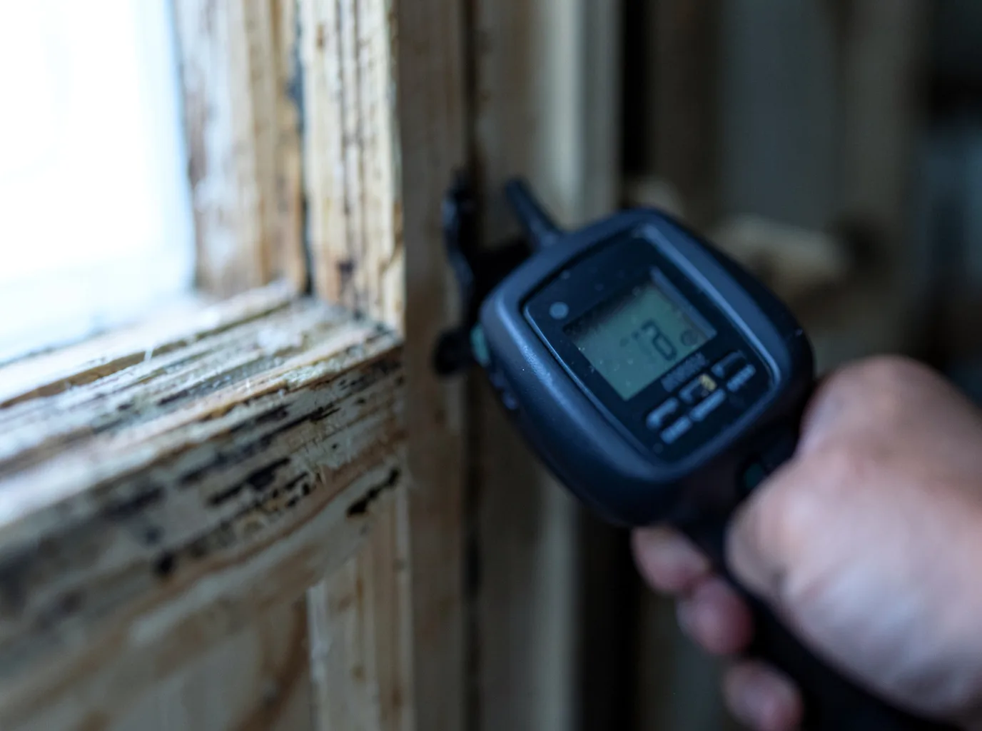 Water Damage Restoration Lincoln, WA FAQs
